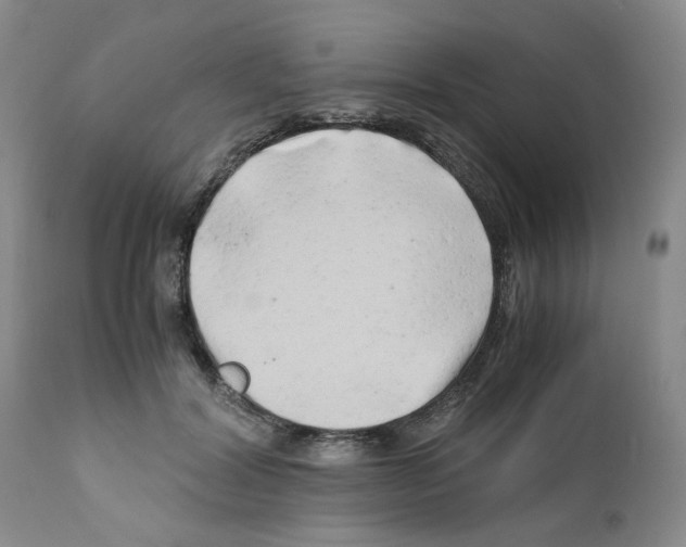 X0000111680604200908281137