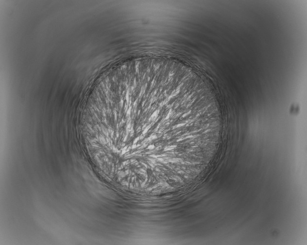 X0000111680605200908281137