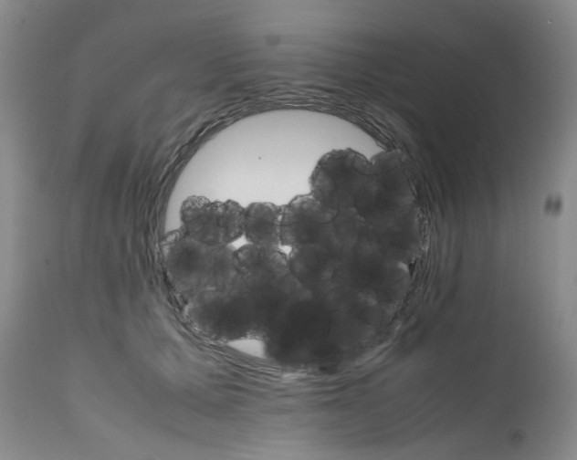 X0000111680607200908281137