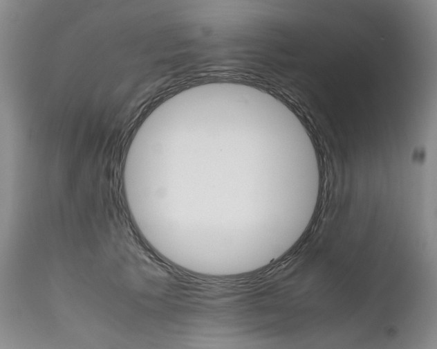 X0000111680609200908281137