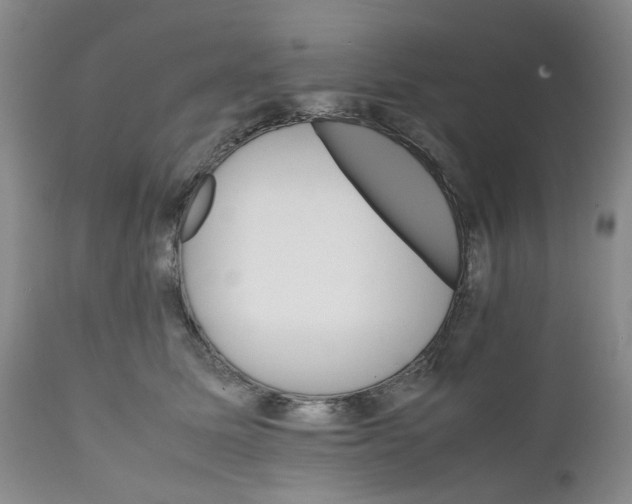 X0000111680611200908281137