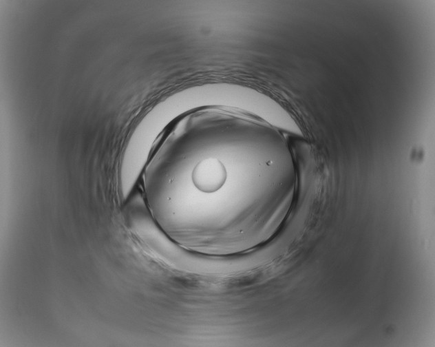 X0000111680613200908281137