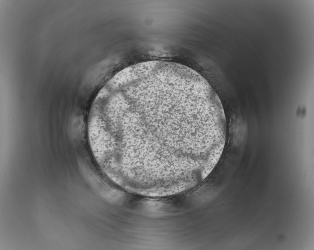 X0000111680614200908281137