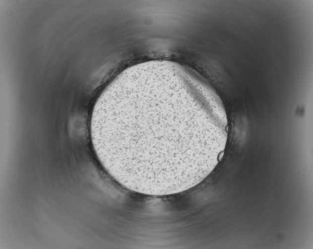 X0000111680616200908281137