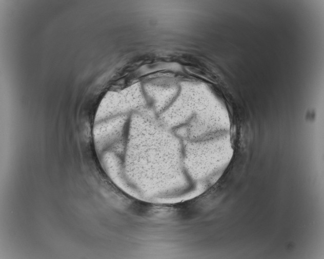 X0000111680617200908281137