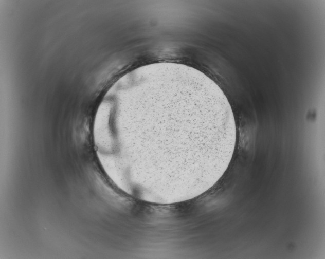 X0000111680618200908281137