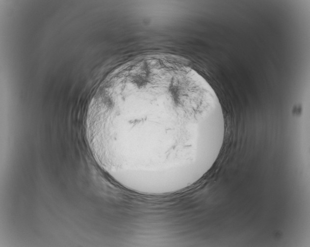 X0000111680619200908281137