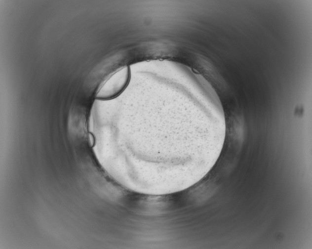 X0000111680622200908281137