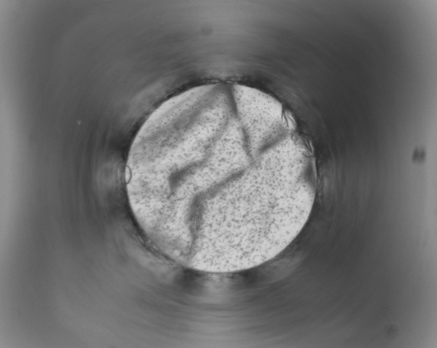 X0000111680623200908281137