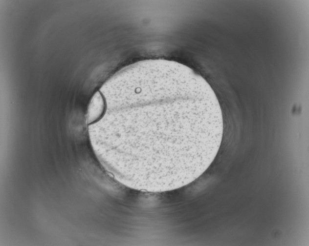 X0000111680624200908281137