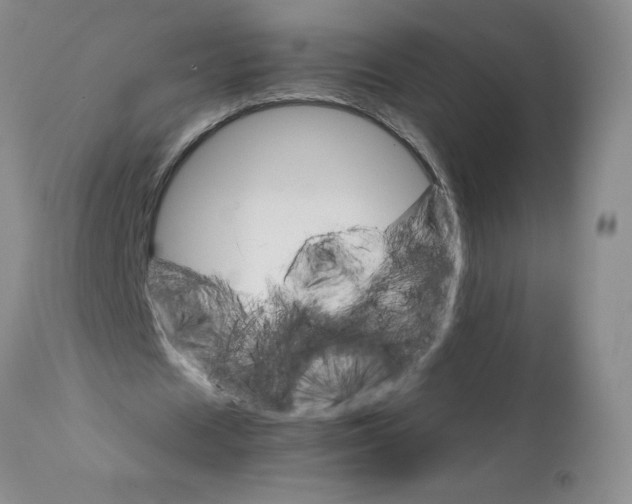 X0000111680625200908281137