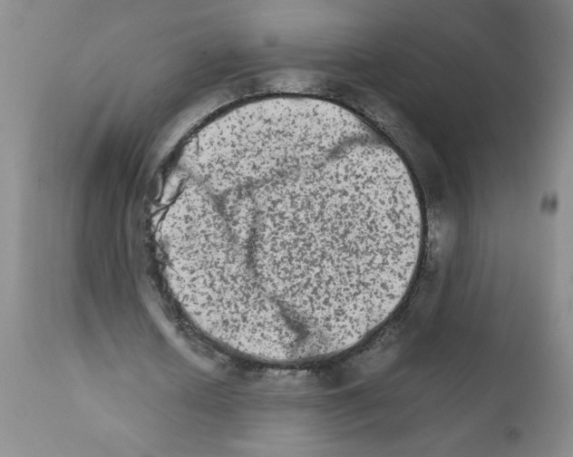 X0000111680626200908281137