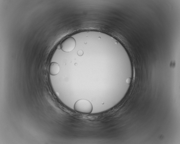 X0000111680627200908281137