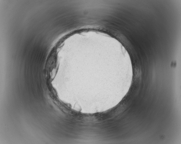 X0000111680628200908281137