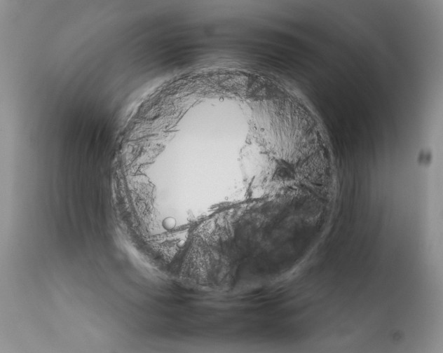 X0000111680629200908281137