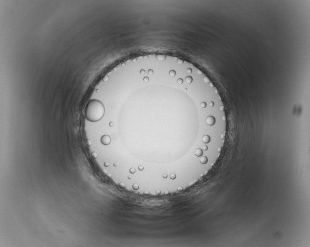 X0000111680631200908281137