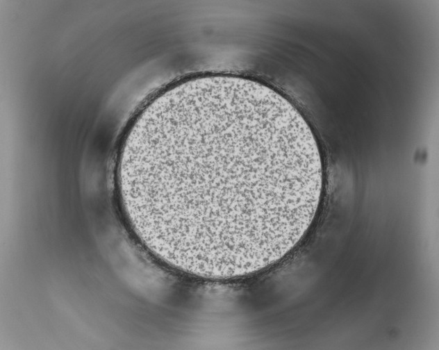 X0000111680632200908281137