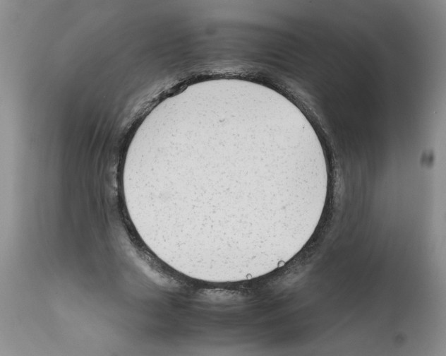 X0000111680633200908281137