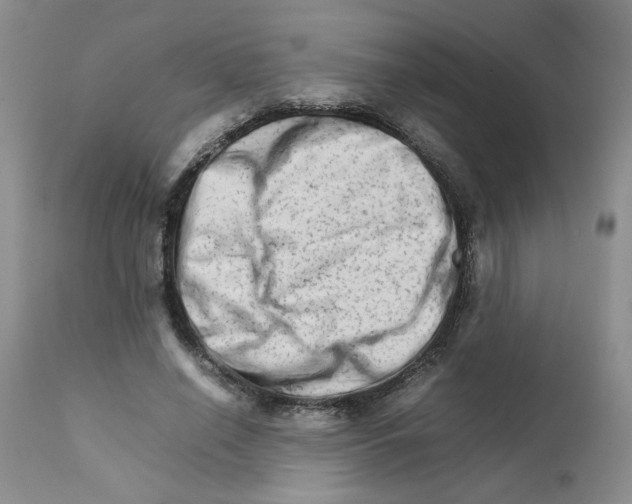 X0000111680638200908281137