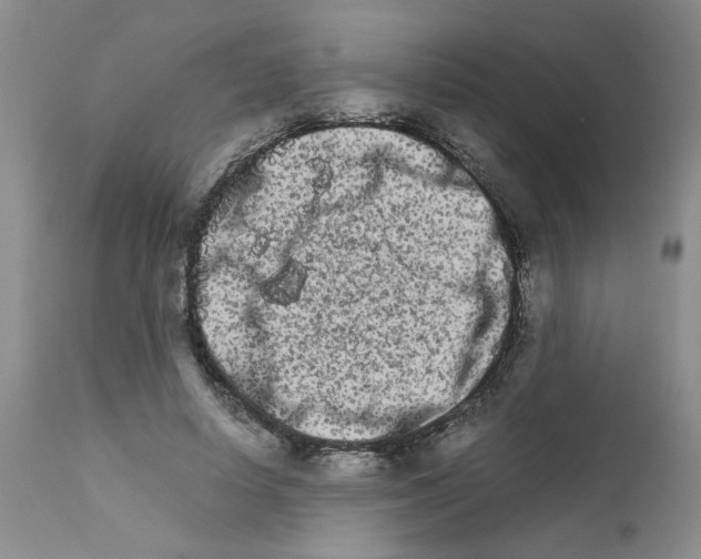 X0000111680642200908281137