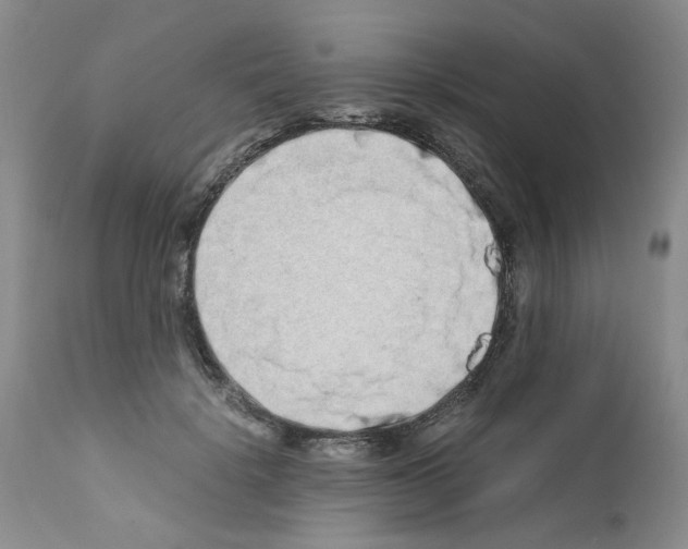 X0000111680652200908281137