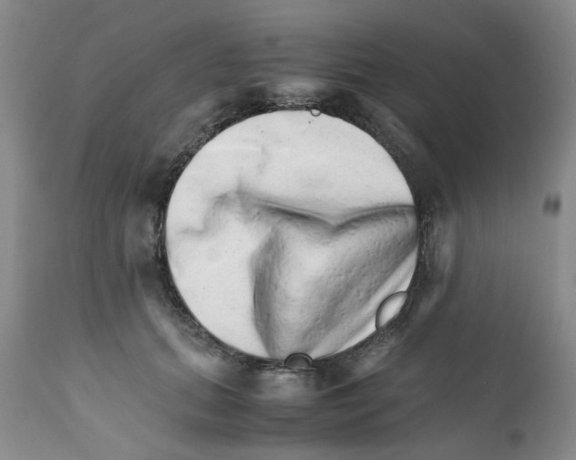 X0000111680655200908281137