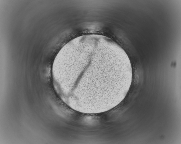 X0000111680657200908281137