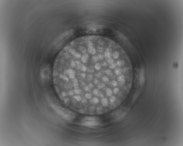 X0000111680659200908281137