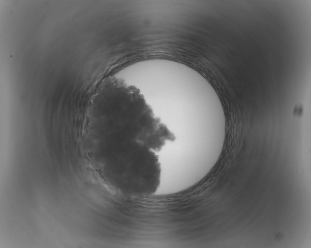 X0000111680660200908281137