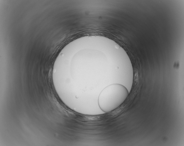 X0000111680662200908281137