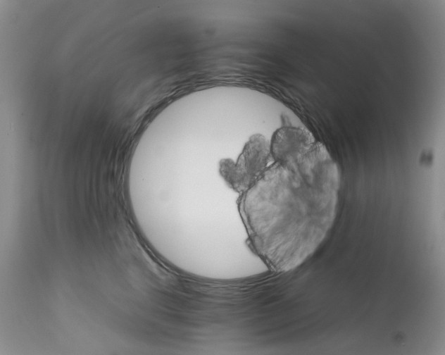 X0000111680664200908281137