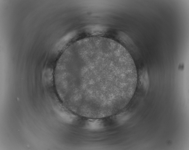 X0000111680667200908281137