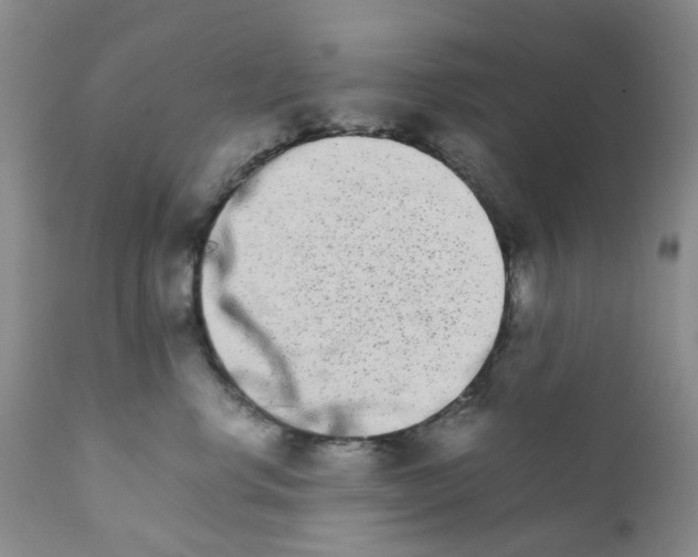 X0000111680668200908281137