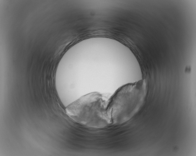 X0000111680669200908281137