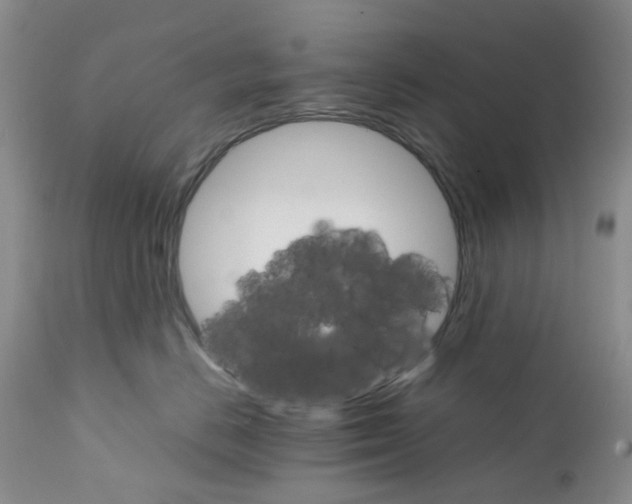 X0000111680670200908281137