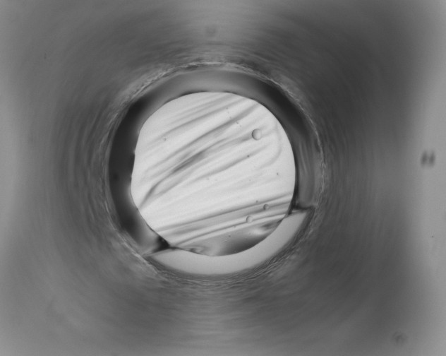 X0000111680673200908281137