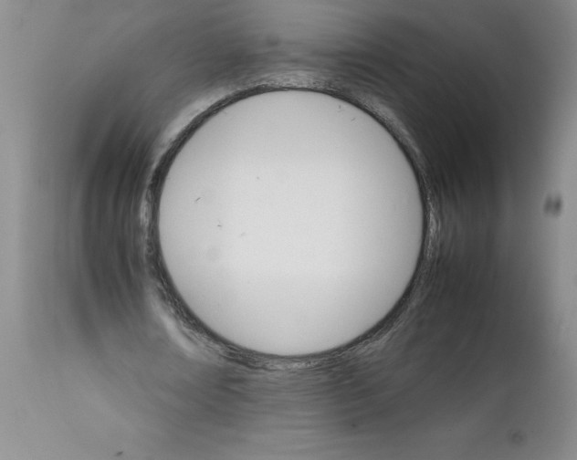 X0000111680674200908281136