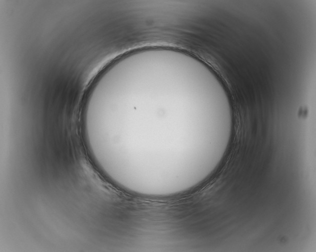 X0000111680676200908281136