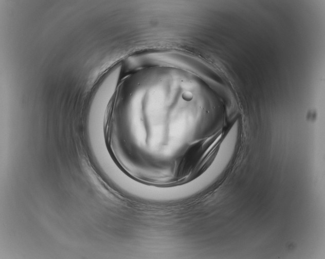 X0000111680677200908281136