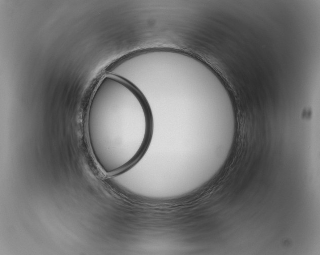 X0000111680680200908281136