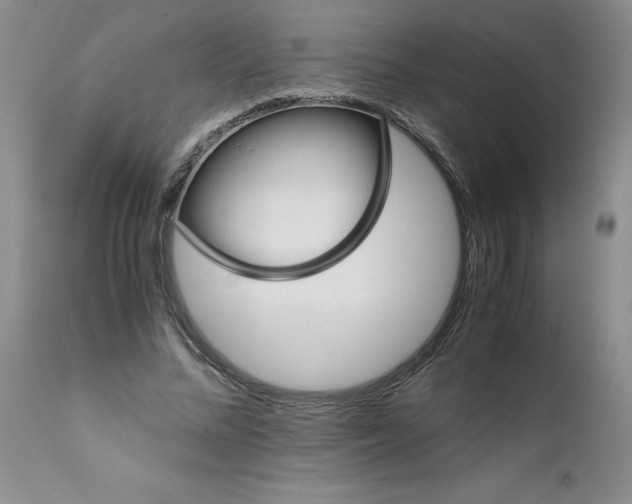 X0000111680684200908281136