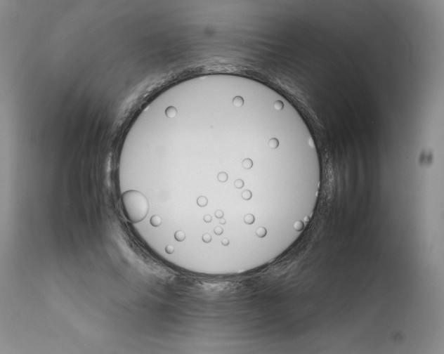 X0000111680686200908281136