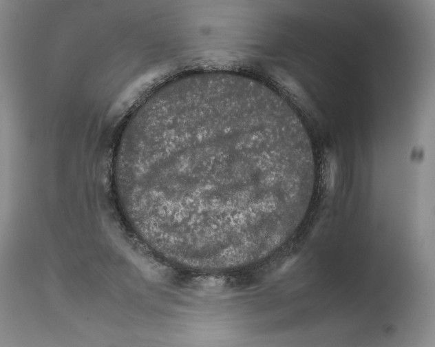 X0000111680687200908281136