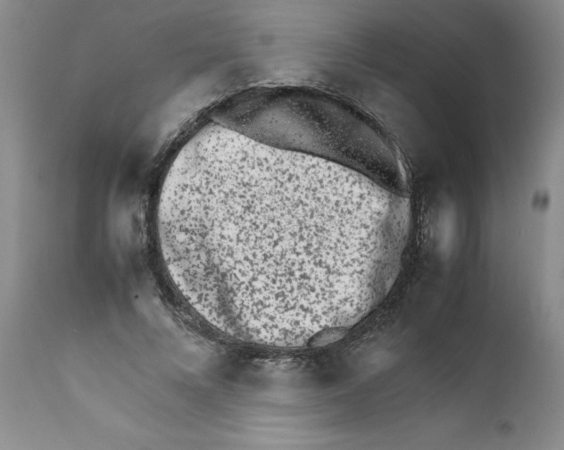 X0000111680688200908281136