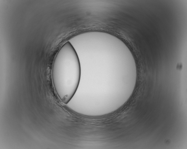 X0000111680689200908281136