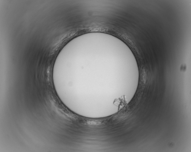 X0000111680690200908281136