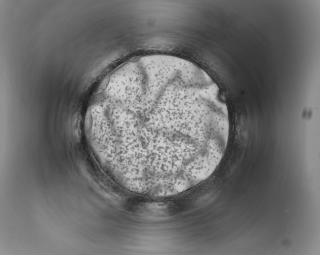 X0000111680692200908281136