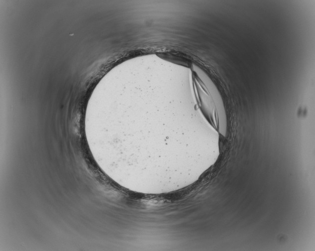 X0000111680693200908281136