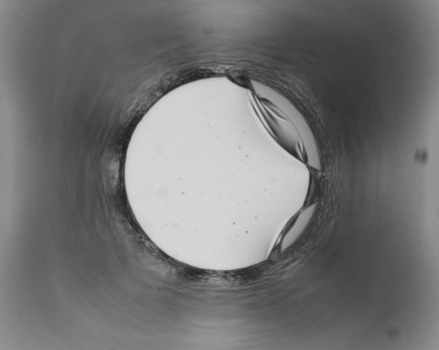 X0000111680697200908281136