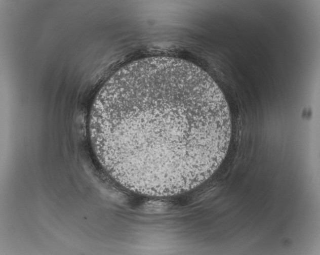 X0000111680699200908281136